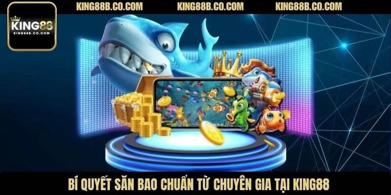 Bí quyết săn bao chuẩn từ chuyên gia tại King88