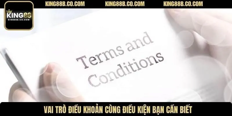 Vai trò điều khoản cùng điều kiện bạn cần biết